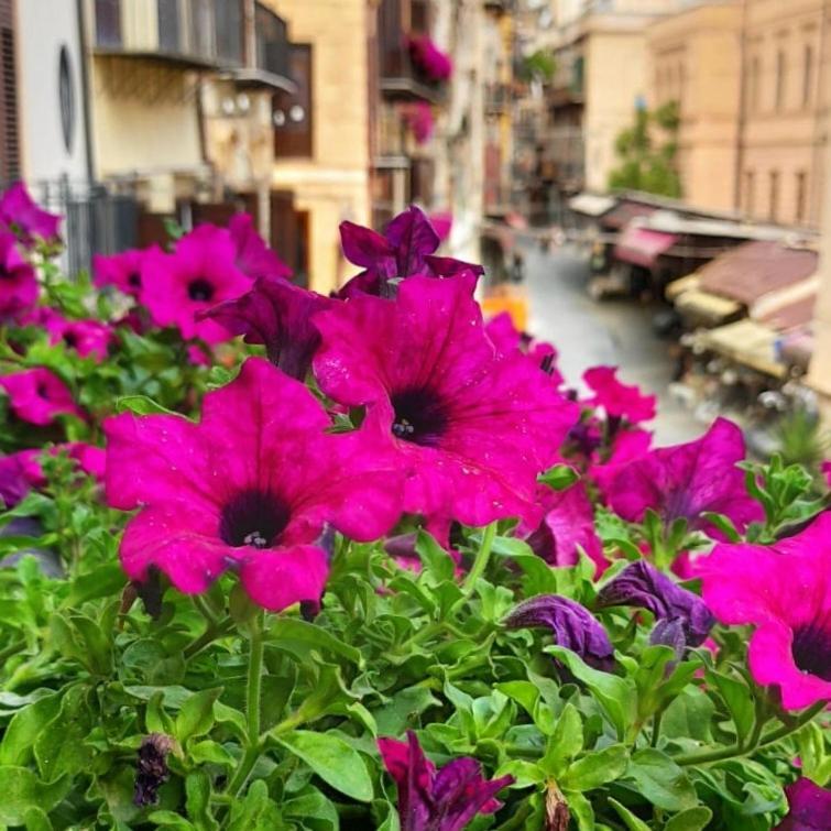 Il Rosone Luxury B&B Palermo Exterior foto